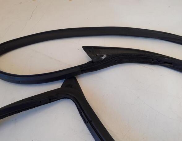 Door Seal FORD RANGER (TKE)