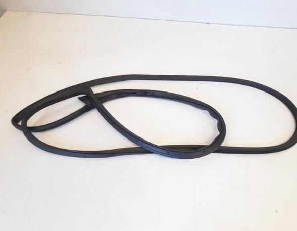 Door Seal FORD RANGER (TKE)