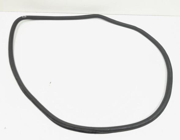 Door Seal VW POLO (6R1, 6C1), VW POLO Van (6R)