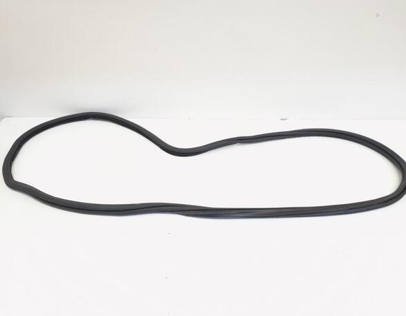 Door Seal VW GOLF VII (5G1, BQ1, BE1, BE2), VW GOLF VIII Variant (CG5), VW GOLF VII Variant (BA5, BV5)