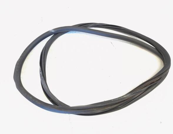 Door Seal VW GOLF VI (5K1), VW GOLF VI Van (5K1_), VW GOLF V (1K1), VW GOLF VAN VI Variant (AJ5)