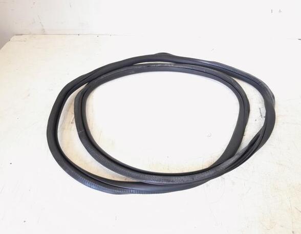 Door Seal VW GOLF VI (5K1), VW GOLF VI Van (5K1_), VW GOLF V (1K1), VW GOLF VAN VI Variant (AJ5)