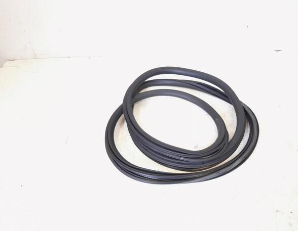 Door Seal VW GOLF VI (5K1), VW GOLF VI Van (5K1_), VW GOLF V (1K1), VW GOLF VAN VI Variant (AJ5)