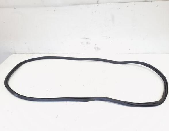 Door Seal VW GOLF VI (5K1), VW GOLF V (1K1), VW GOLF VAN VI Variant (AJ5), VW GOLF VI Van (5K1_)