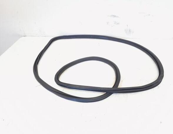 Door Seal VW GOLF VI (5K1), VW GOLF V (1K1), VW GOLF VAN VI Variant (AJ5), VW GOLF VI Van (5K1_)