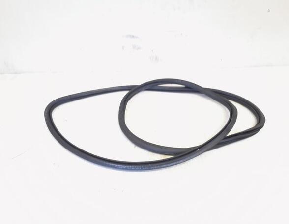 Door Seal VW GOLF VI (5K1), VW GOLF VI Van (5K1_), VW GOLF V (1K1), VW GOLF VI Variant (AJ5)