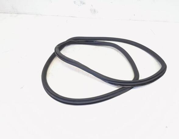 Door Seal VW GOLF VI (5K1), VW GOLF V (1K1), VW GOLF VAN VI Variant (AJ5), VW GOLF VI Van (5K1_)