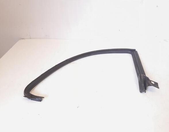 Door Seal VW PASSAT CC (357), VW CC (358)