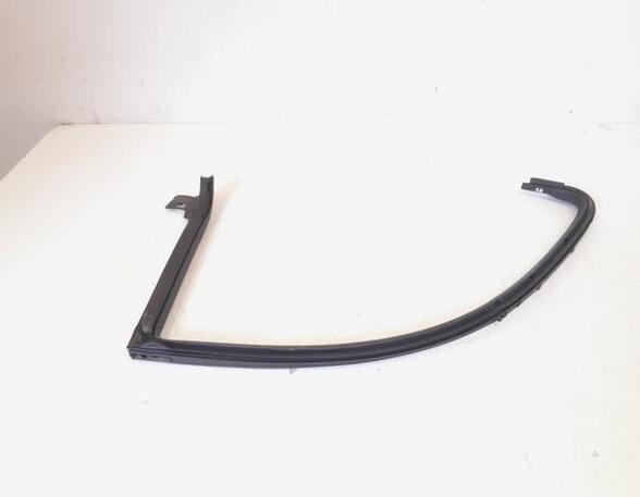 Door Seal VW PASSAT CC (357), VW CC (358)