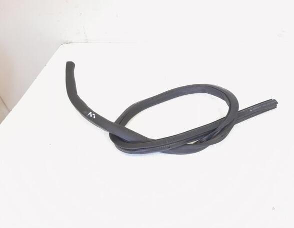 Door Seal VW CC (358), VW PASSAT CC (357)