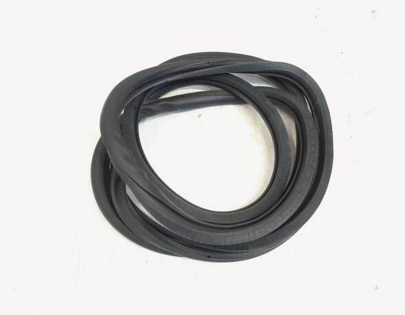 Door Seal VW GOLF V (1K1)