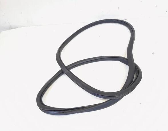 Door Seal VW PASSAT B7 Variant (365)