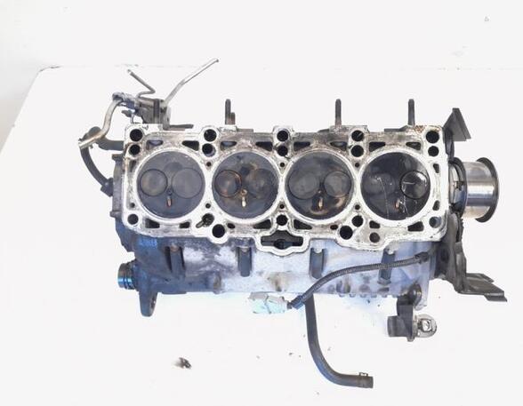 Cylinder Head SEAT IBIZA IV (6J5, 6P1), SEAT IBIZA IV SC (6J1, 6P5)