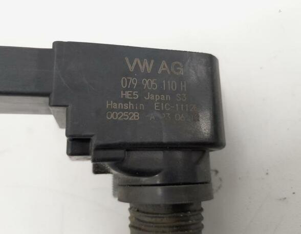 Ignition Coil AUDI A6 Avant (4G5, 4GD), AUDI A7 Sportback (4GA, 4GF), AUDI A6 (4G2, 4GC)