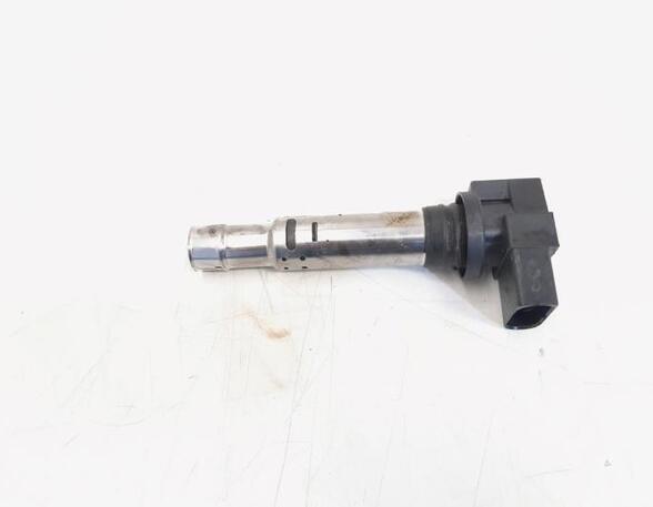 Ignition Coil VW GOLF V (1K1), VW GOLF VI (5K1), VW TIGUAN (5N_), VW TIGUAN VAN (5N_)