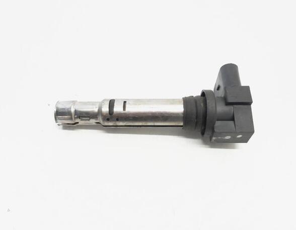 Ignition Coil VW GOLF V Variant (1K5), VW GOLF VI Variant (AJ5), VW TIGUAN (5N_), VW TIGUAN VAN (5N_)