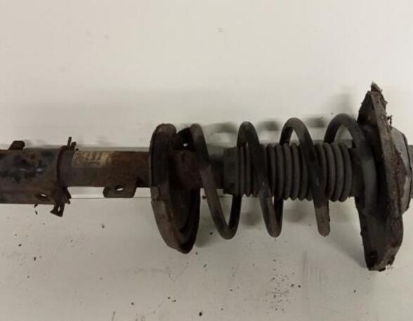 
Federbein links vorne Citroen Jumpy II Kasten  5202WW P20431169
