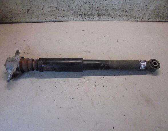 Shock Absorber VW GOLF V Variant (1K5), VW GOLF VI Variant (AJ5), SEAT LEON (1P1), VW GOLF VI (5K1)