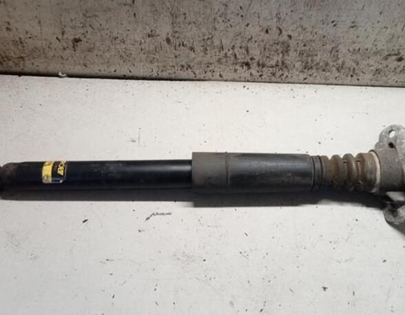 Shock Absorber VW GOLF V Variant (1K5), SEAT LEON (1P1), VW GOLF VI (5K1), VW GOLF VI Variant (AJ5)