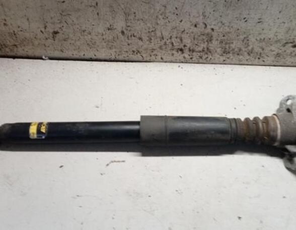 Shock Absorber VW GOLF V Variant (1K5), SEAT LEON (1P1), VW GOLF VI (5K1), VW GOLF VI Variant (AJ5)