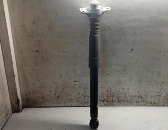 Shock Absorber VW GOLF V Variant (1K5), SEAT LEON (1P1), VW GOLF VI (5K1), VW GOLF VI Variant (AJ5)