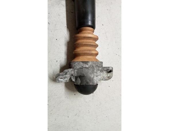 Shock Absorber VW JETTA III (1K2)