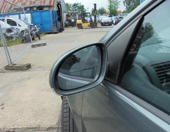 Wing (Door) Mirror VW GOLF PLUS (5M1, 521), VW GOLF PLUS Van (521), VW GOLF V Variant (1K5), VW GOLF VI Variant (AJ5)