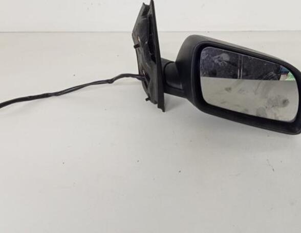 Wing (Door) Mirror VW POLO (9N_)