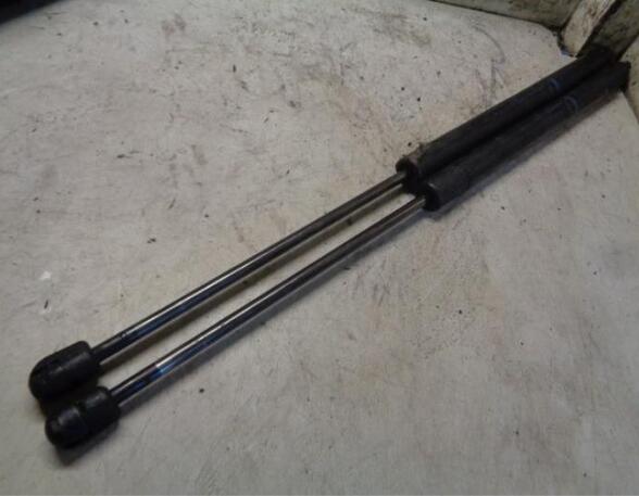 Gas Spring RENAULT MEGANE II Estate (KM0/1_)