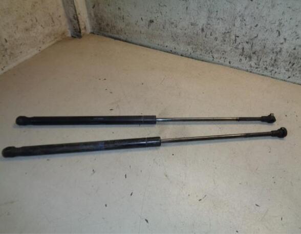 Gas Spring SEAT IBIZA III (6L1)