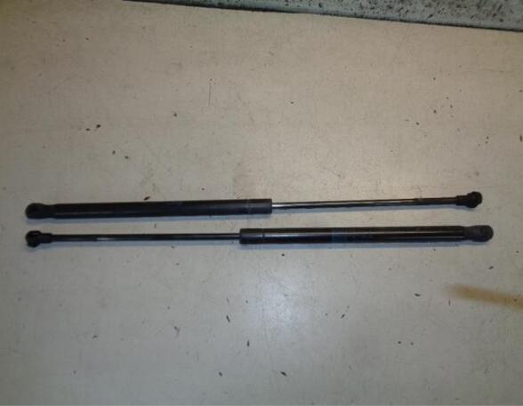 Gas Spring SEAT IBIZA III (6L1)