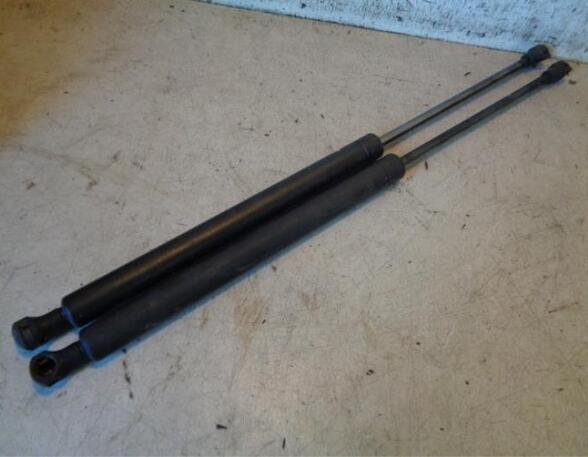 Gas Spring PEUGEOT 307 (3A/C)