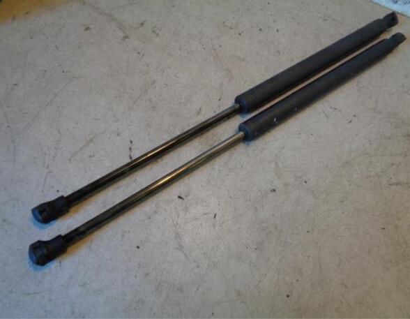 Gas Spring PEUGEOT 307 (3A/C)