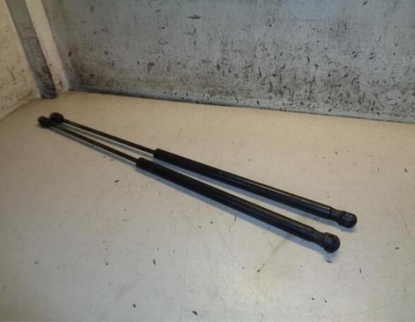 Gas Spring FORD FOCUS C-MAX (DM2), FORD C-MAX (DM2)