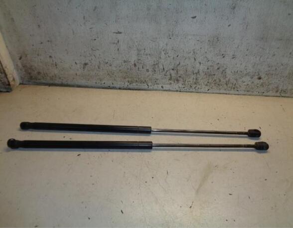 Gas Spring FORD FOCUS C-MAX (DM2), FORD C-MAX (DM2)