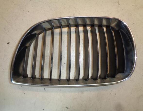 Radiator Grille BMW 1 (E87), BMW 1 (E81)