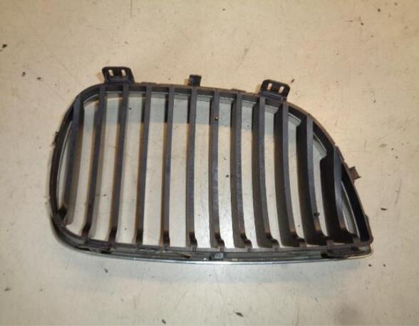 Radiator Grille BMW 1 (E87), BMW 1 (E81)