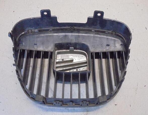 Radiator Grille SEAT IBIZA III (6L1)