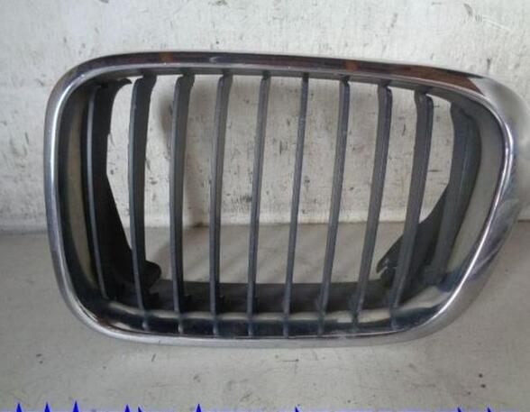 Radiateurgrille BMW 3 Touring (E46)