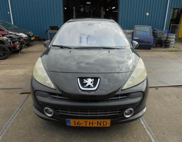 Spatbord PEUGEOT 207 (WA_, WC_)