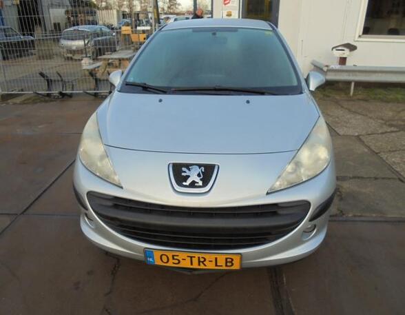 Spatbord PEUGEOT 207 (WA_, WC_)