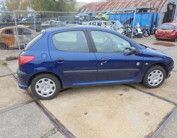 Wing PEUGEOT 206 Hatchback (2A/C), PEUGEOT 206 Saloon