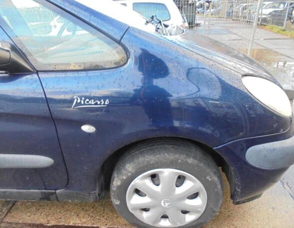 Wing CITROËN XSARA PICASSO (N68)