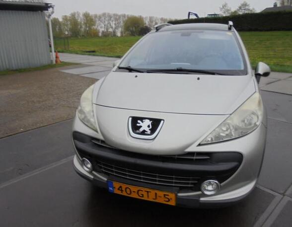 Bonnet PEUGEOT 207 (WA_, WC_), PEUGEOT 207 SW (WK_)