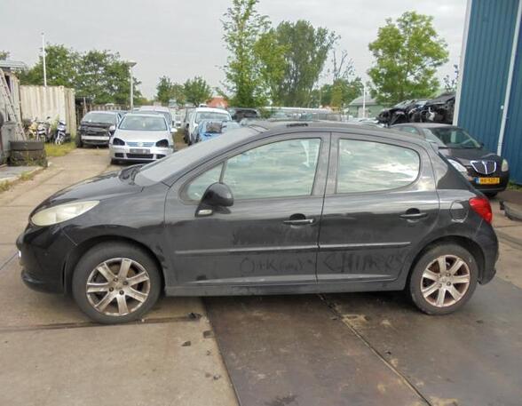 Deur PEUGEOT 207 (WA_, WC_)