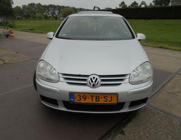 Door VW GOLF V (1K1)