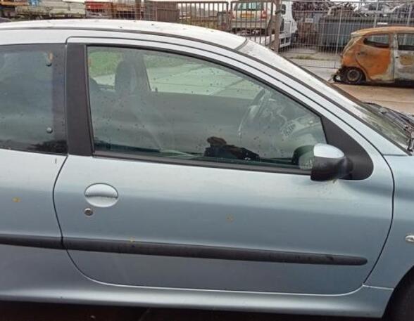 Door PEUGEOT 206 Hatchback (2A/C)