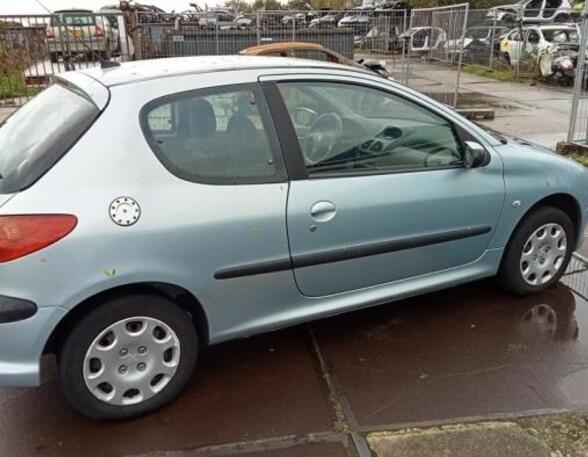 Deur PEUGEOT 206 Hatchback (2A/C)