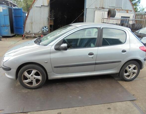 Deur PEUGEOT 206 Hatchback (2A/C), PEUGEOT 206 Saloon