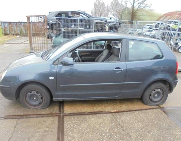 Deur VW POLO (9N_)